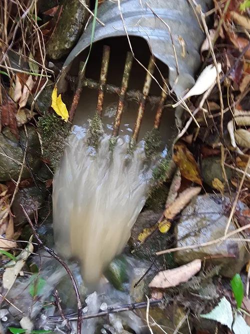 Don Ready tile drain from soybeans 1