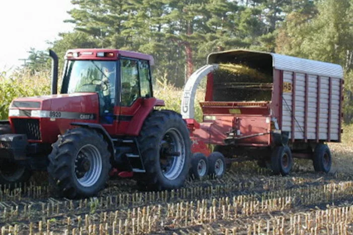 harvesting corn silage