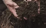 Valent BioSciences soil shot