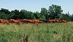 DSC_0905.jpg