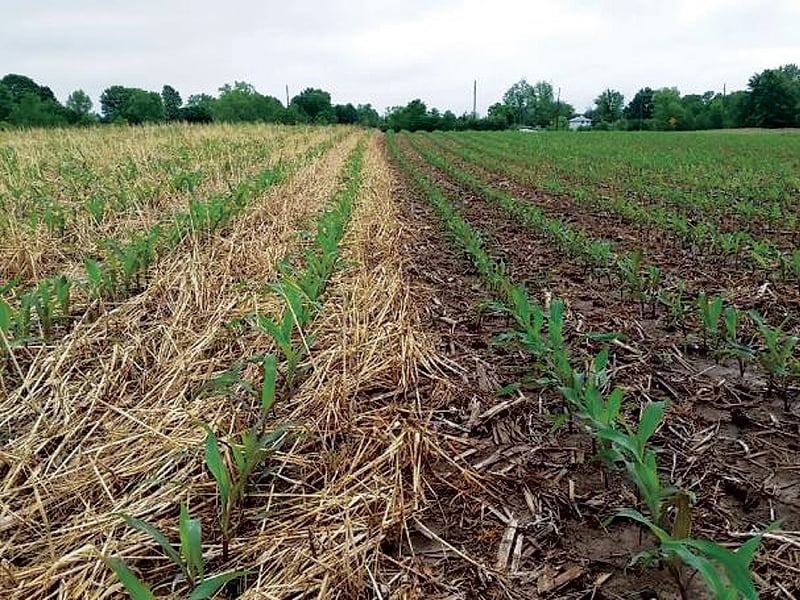 Nrcs Cover Crop Chart