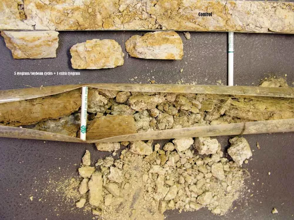 fragipan-samples-2.jpg