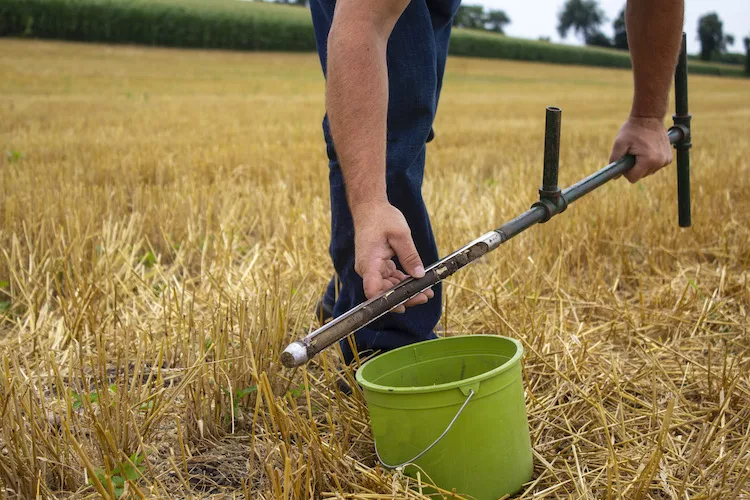 soil sampling
