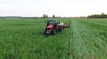 Brandt cover crops