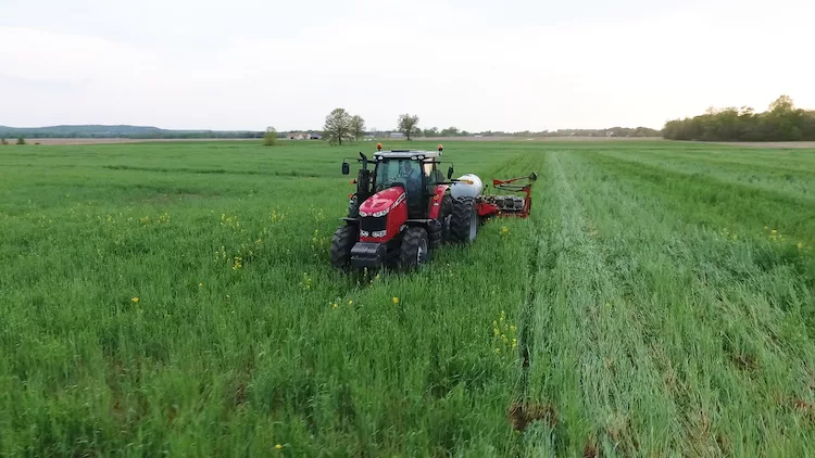 Brandt cover crops