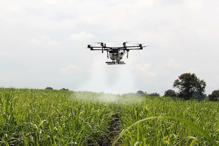 drone weed sprayer