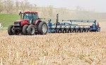 cutting_through_stalks.jpg