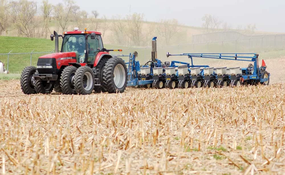 cutting_through_stalks.jpg