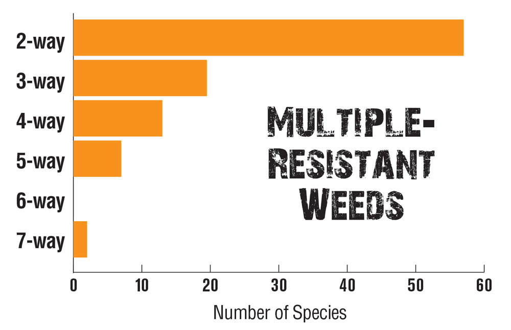 How No-Tillers Can Combat the Evolution of Herbicide Resistance