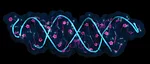 RNA-interference.jpg