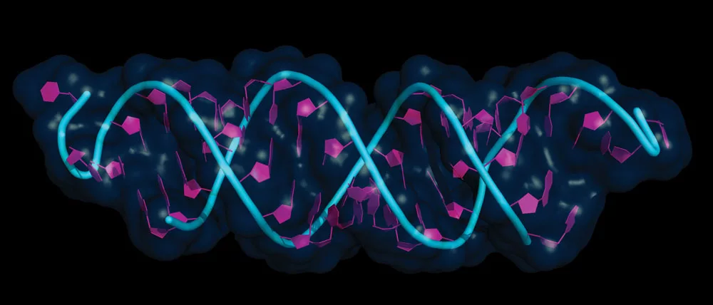 RNA-interference.jpg