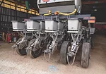 Allan Brooks planter