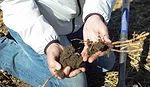 Locus-AG-Soil-Health.jpg