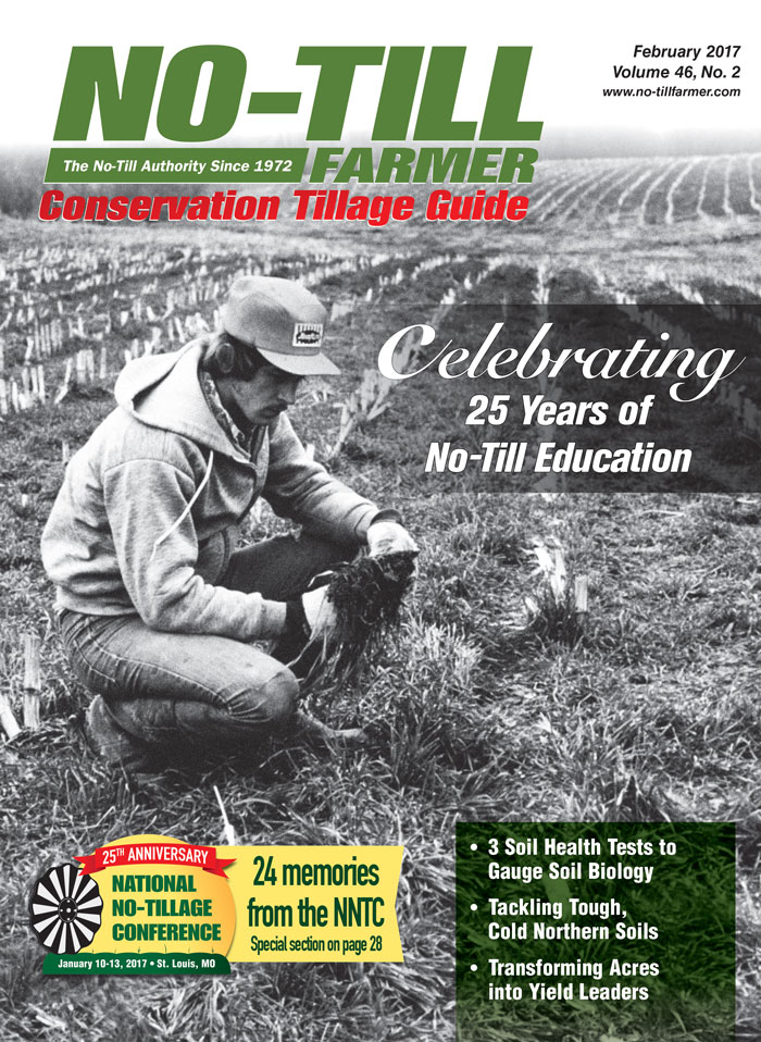alt text here