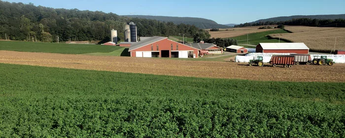 Bowman-Brothers-Farm.jpg