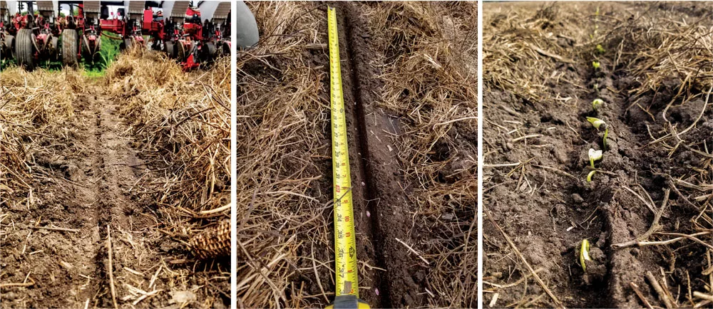 NO-TILL-LIMAS.jpg