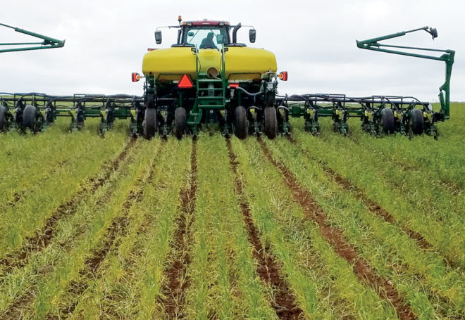 7 Planting-Season Tips for Successful No-Till Soybeans