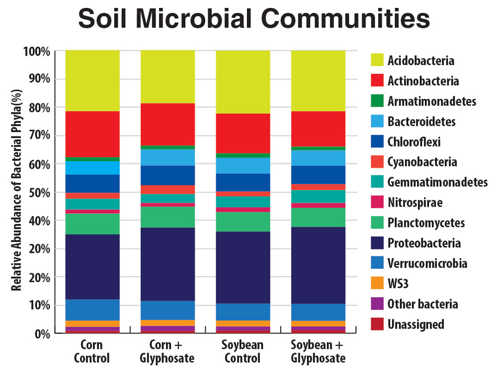 Soil_Microbial_Communities.jpg