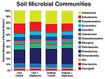 Soil_Microbial_Communities.jpg