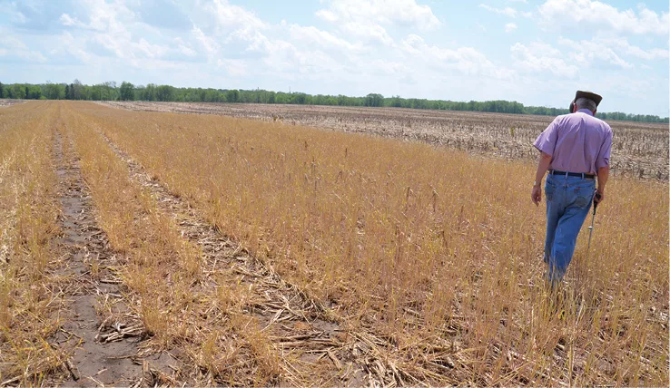 History and Insights from No-Till Pioneer Bill Richards
