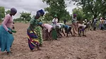 Saved by the Soil