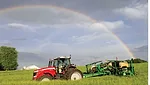 Wenning-planting-green.jpg