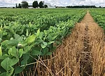 Mauck-relay-cropping-2.jpg