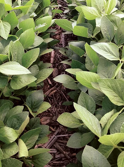 One-Pass-Strip-Tilling.jpg