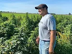 Tom-Cotter-in-hemp-field.jpg