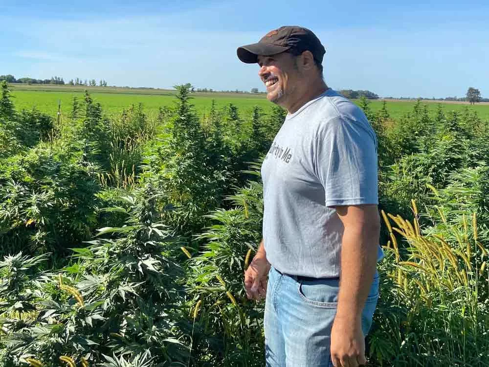 Tom-Cotter-in-hemp-field.jpg