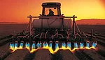 Vegetable-Bed-Flamer.jpg