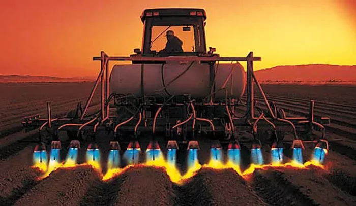 Vegetable-Bed-Flamer.jpg