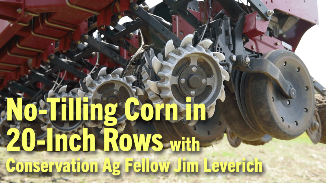 No-Tilling-Corn-in-20-Inch-Rows-with-Conservation-Ag-Fellow-Jim-Leverich.png