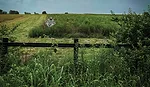 pollinator-habitats.jpg