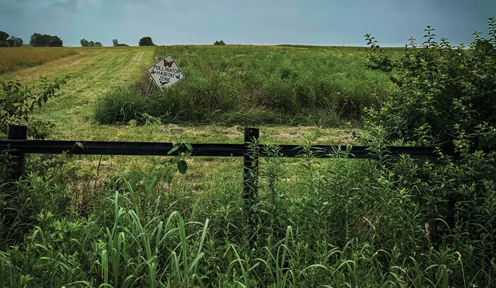 pollinator-habitats.jpg