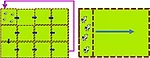 Filling-the-forage-gaps-F02.jpg