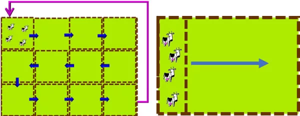 Filling-the-forage-gaps-F02.jpg
