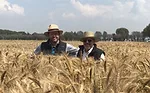 Guillermo-Breton-with-Karim-Ammar-CIMMYT-Toluca.jpg
