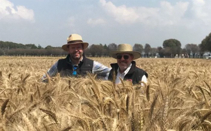 Guillermo-Breton-with-Karim-Ammar-CIMMYT-Toluca.jpg