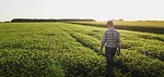 NCAT synthetic fertilizer reduction toolkit farmer in field.jpeg