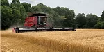 Case-IH-combine-wheat.jpg