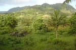 Hawaii.jpg