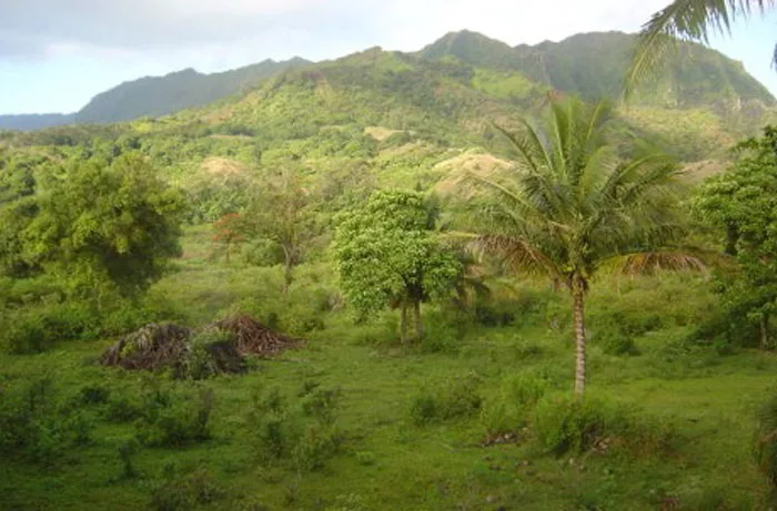 Hawaii.jpg