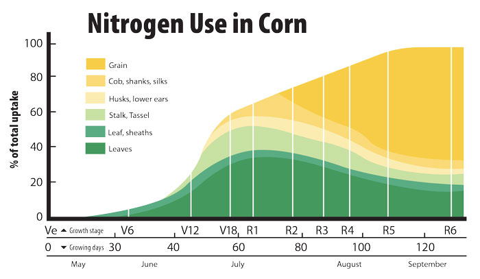 Nitrogen_Use_in_Corn.jpg