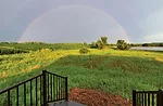 rainbow-crowns-part-of-Ruth-Rabinowitzs-Iowa-farm.jpg