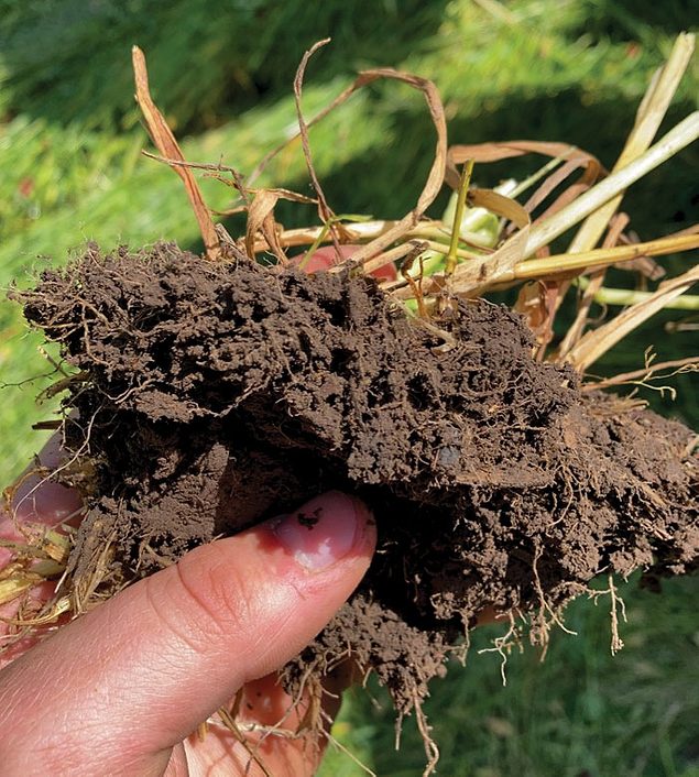 How Are You Using Biologicals on Your Farm? We’d Like to Know