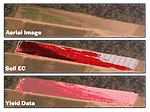 SDSU Soil Electrical Conductivity Map.png