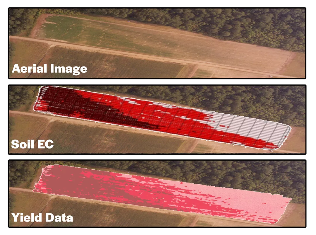 SDSU Soil Electrical Conductivity Map.png