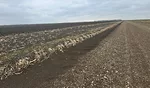 W-01348-02-Topsoil-Top-Soil-Health-Erosion-Field.jpg