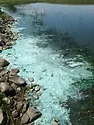 e87e16ec-7298-4bf6-aa7d-26323920e8e1.jpg